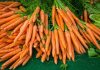 Le carote fanno bene alla vista