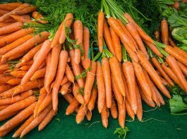 Le carote fanno bene alla vista